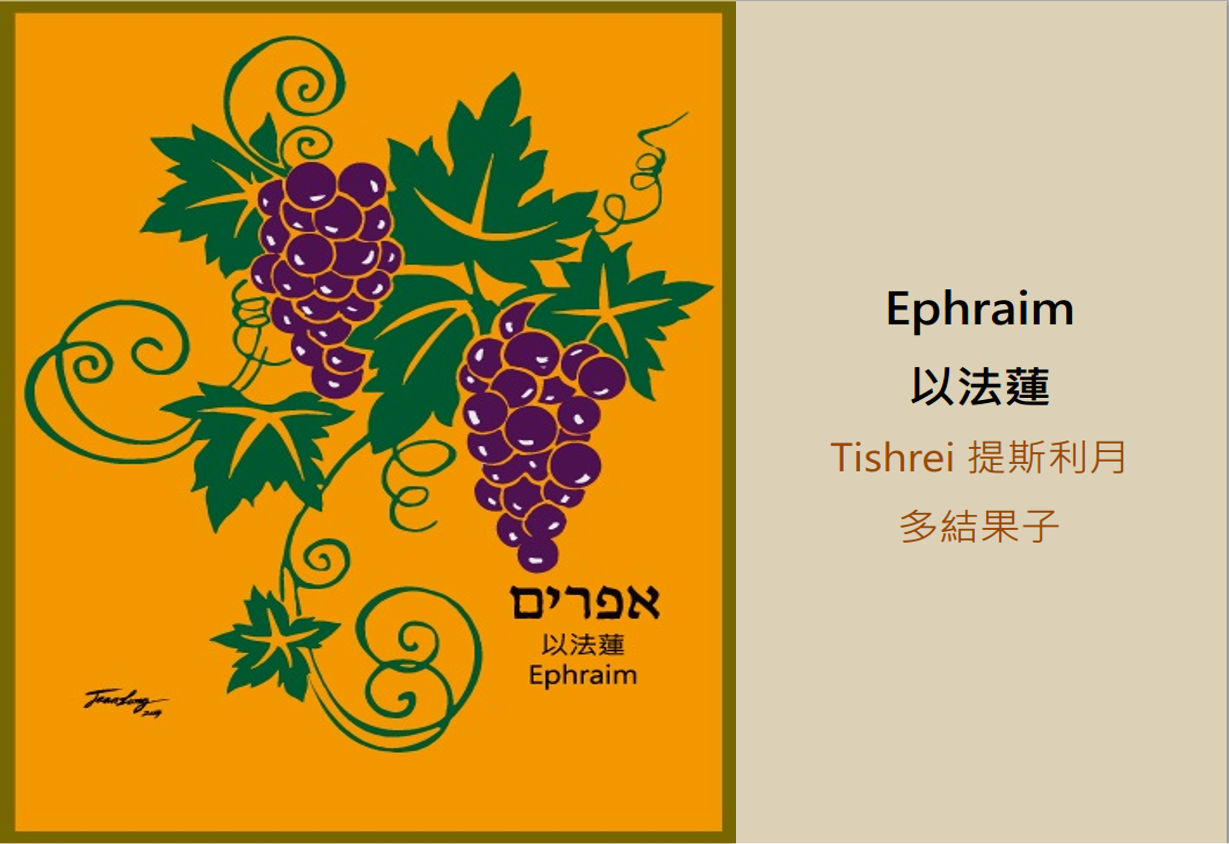 提斯利月